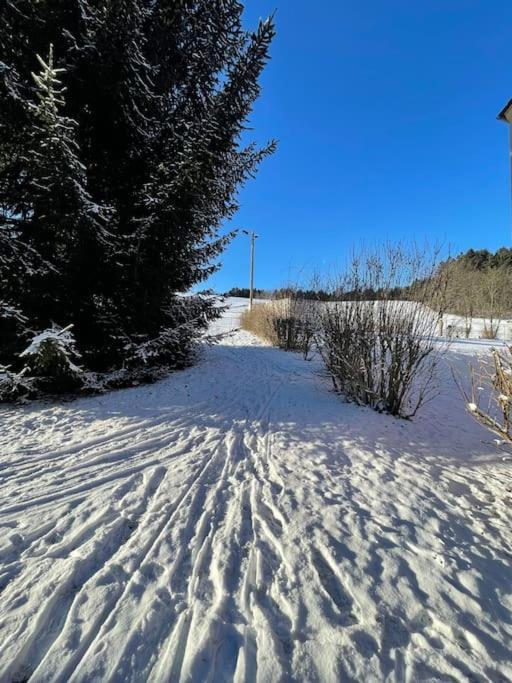 Franzis Feriendomizil Im Herzgebirge Am Skihang Auerbach  Exterior photo