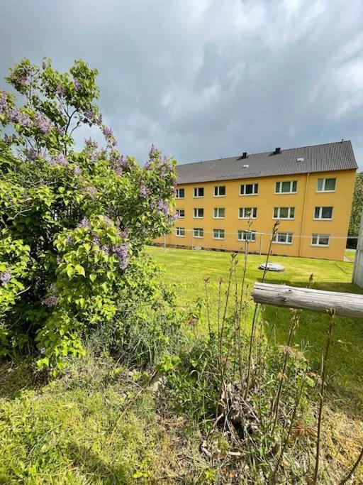 Franzis Feriendomizil Im Herzgebirge Am Skihang Auerbach  Exterior photo